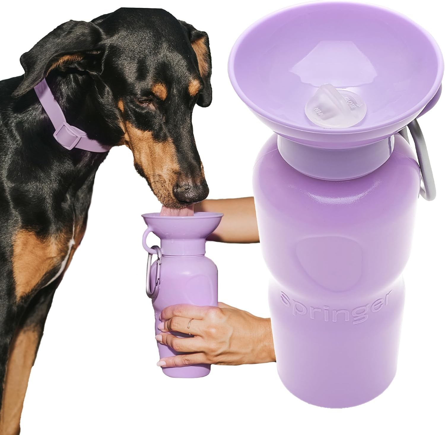 Springer Dog Travel Water Bottle, 22oz